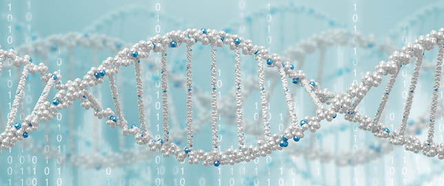 agata-castro-my-services-cct